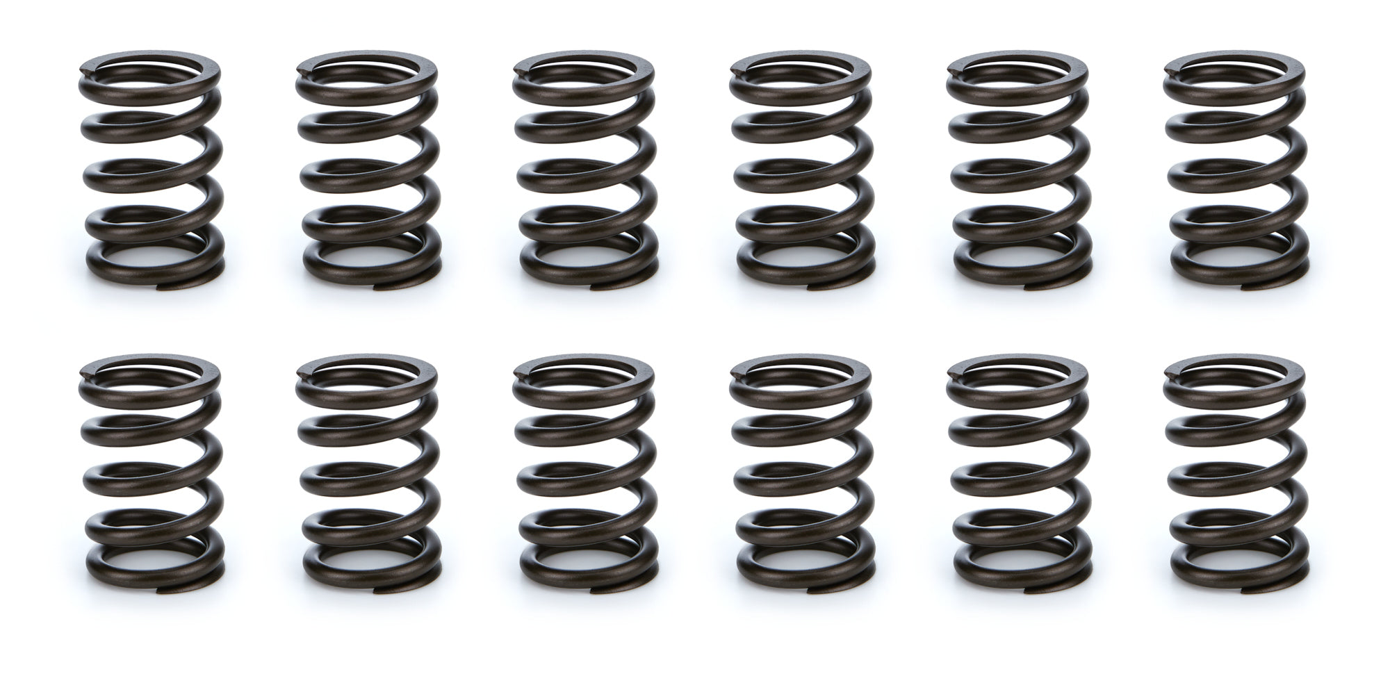 Valve Spring Set