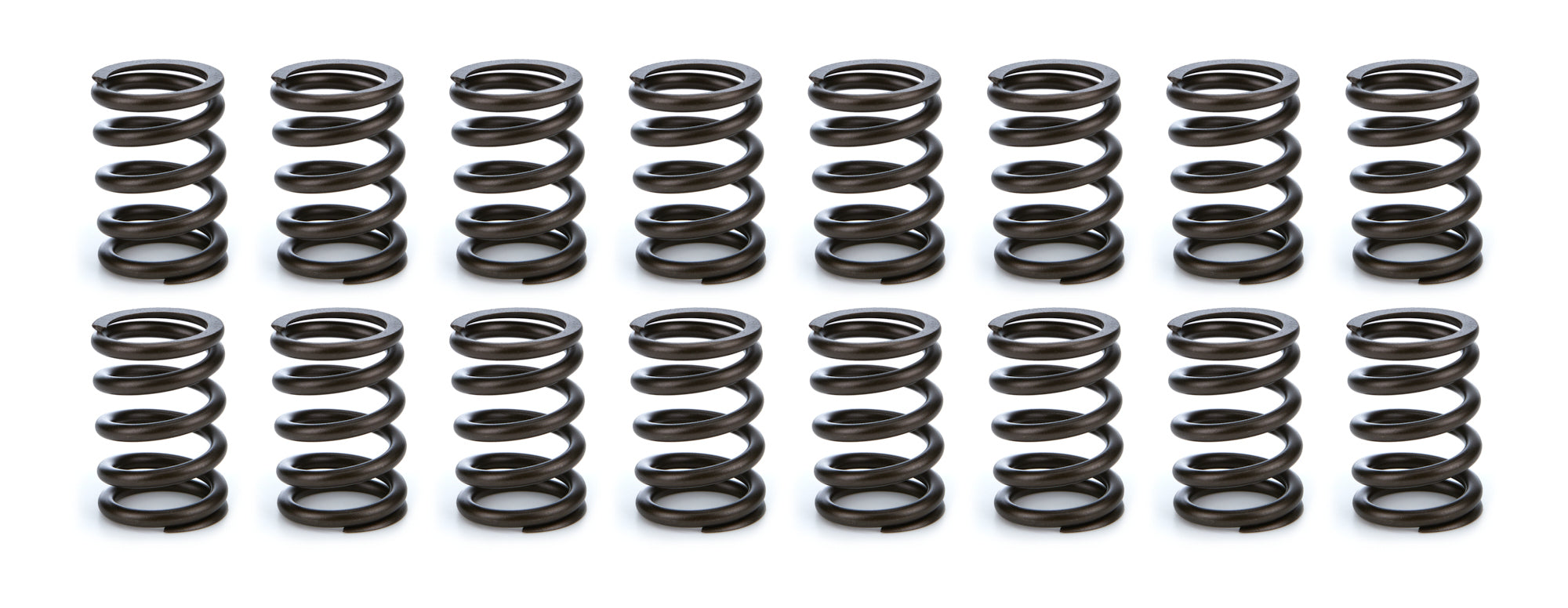 Valve Spring Set